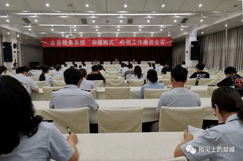 郯城稅務 持續優化營商環境，以專業服務賦能經濟社會發展大局